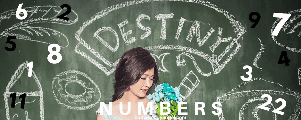 destiny number