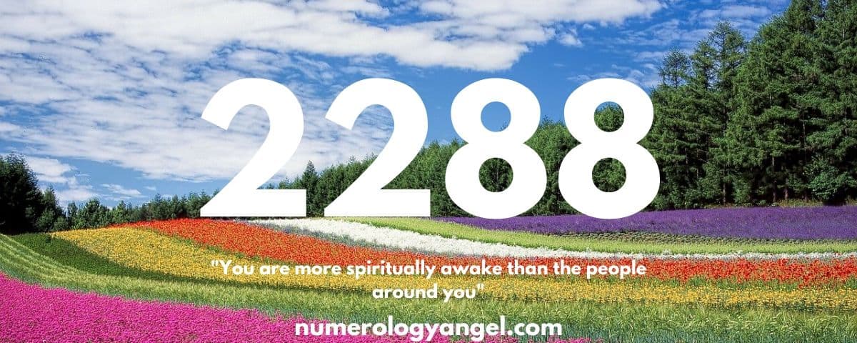 2288 angel number