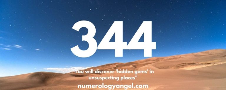 344 Angel Number